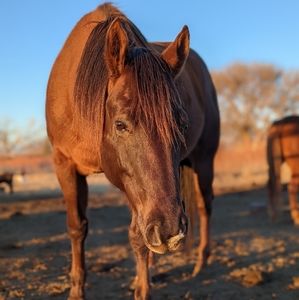 Meet your Posher, Casey